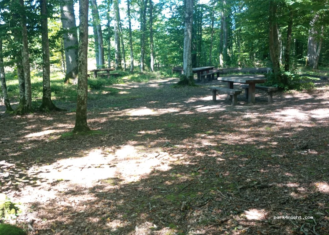 (10220) Piney - Ligne des Comtes Champagne — foto 4