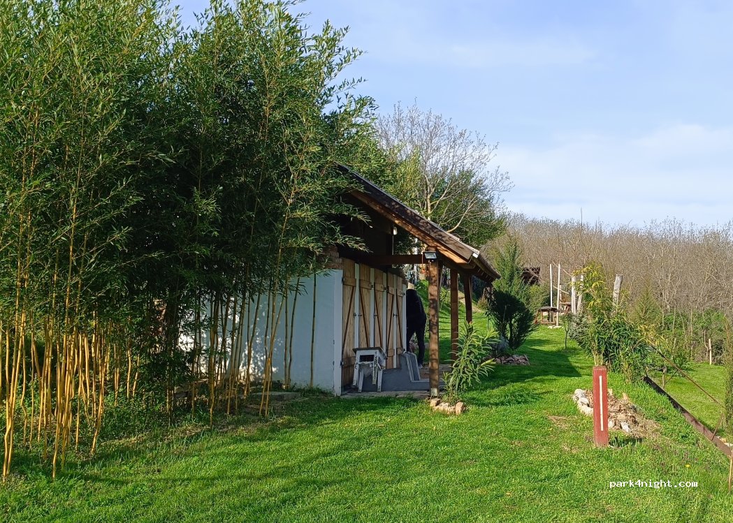 Magic Panorama — foto 5