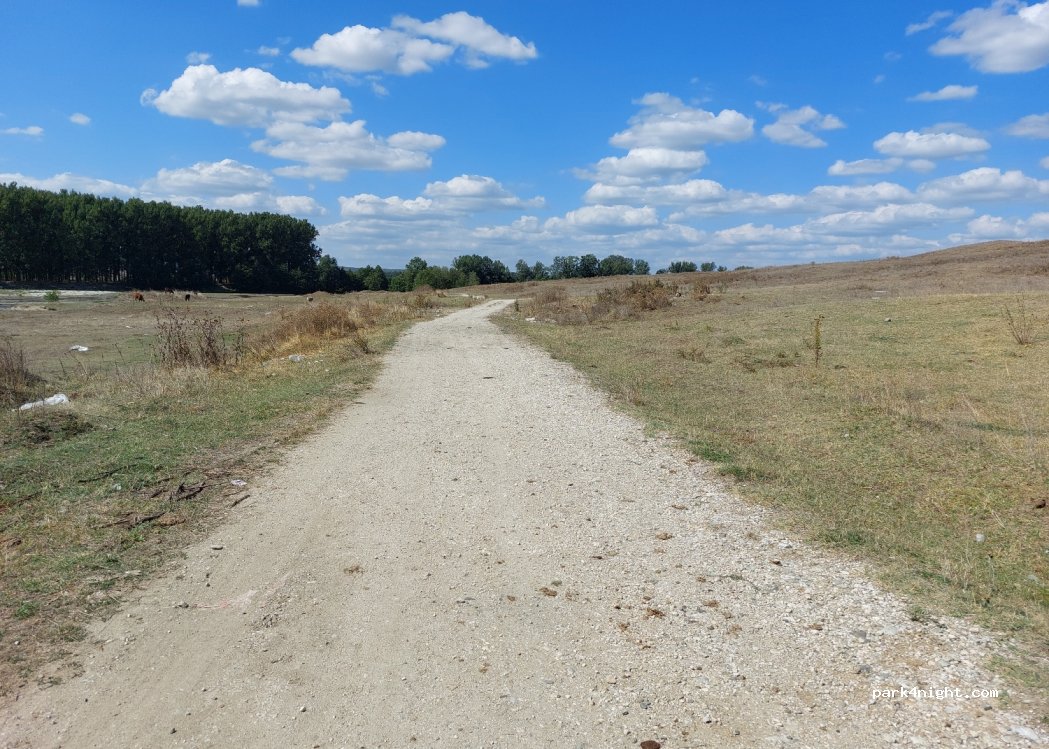() Otetelişu - 60 Strada Olteţului — foto 3
