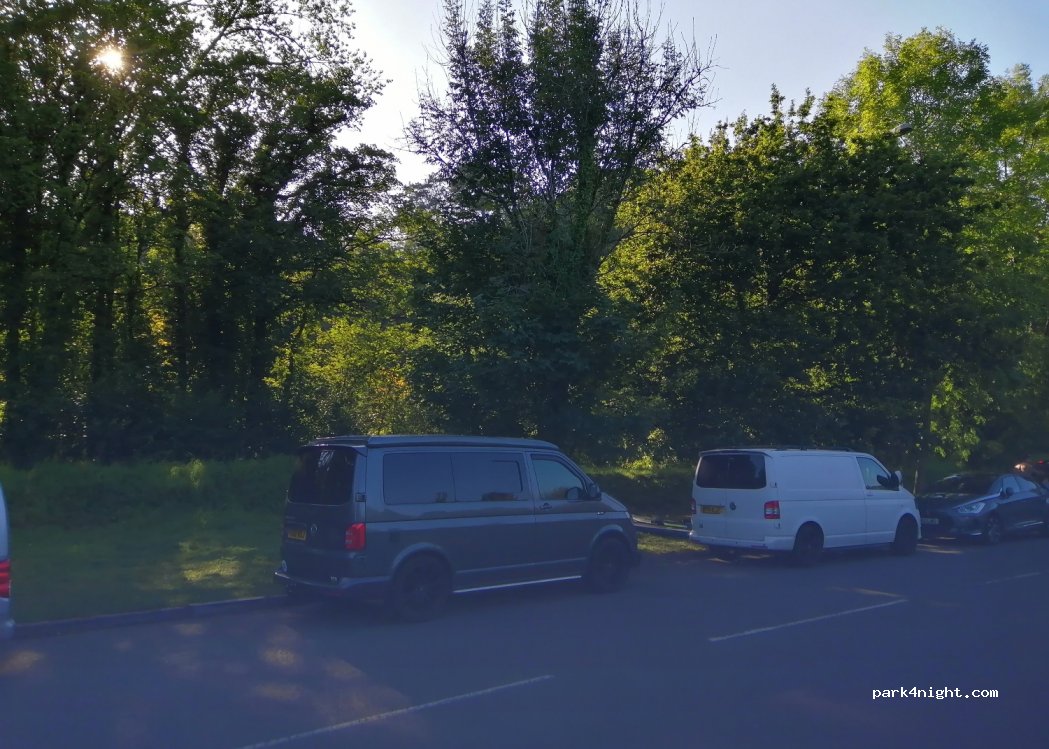 ()  - Longwood Drive — foto