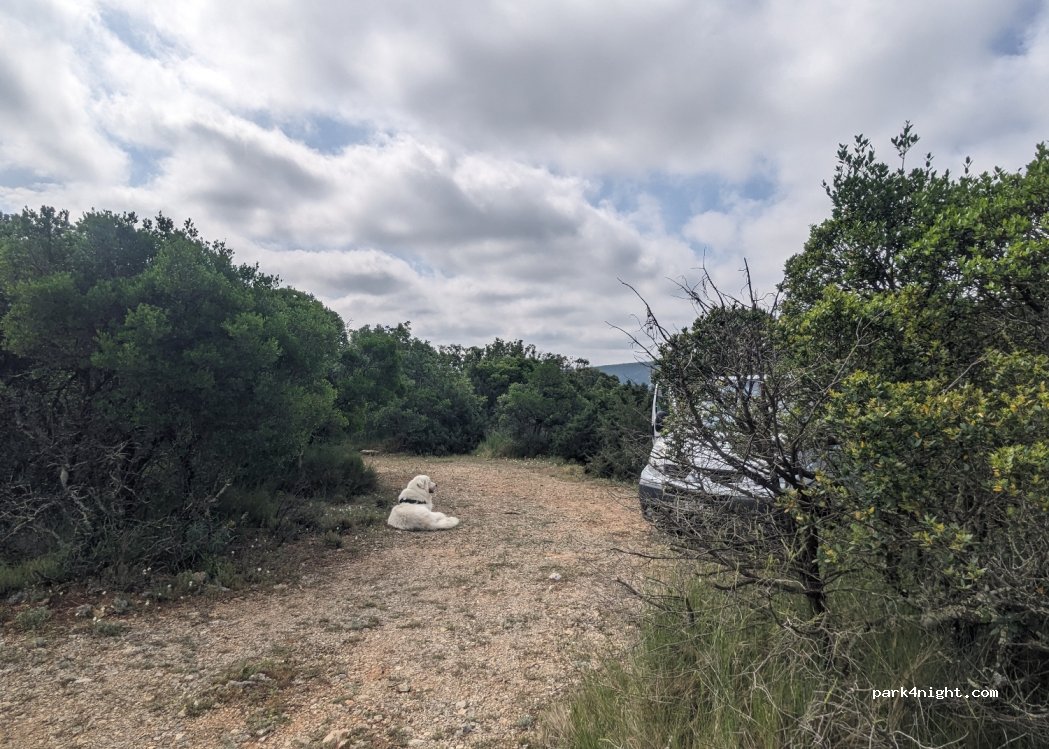 (07700) Saint-Remèze - D290 — foto 2