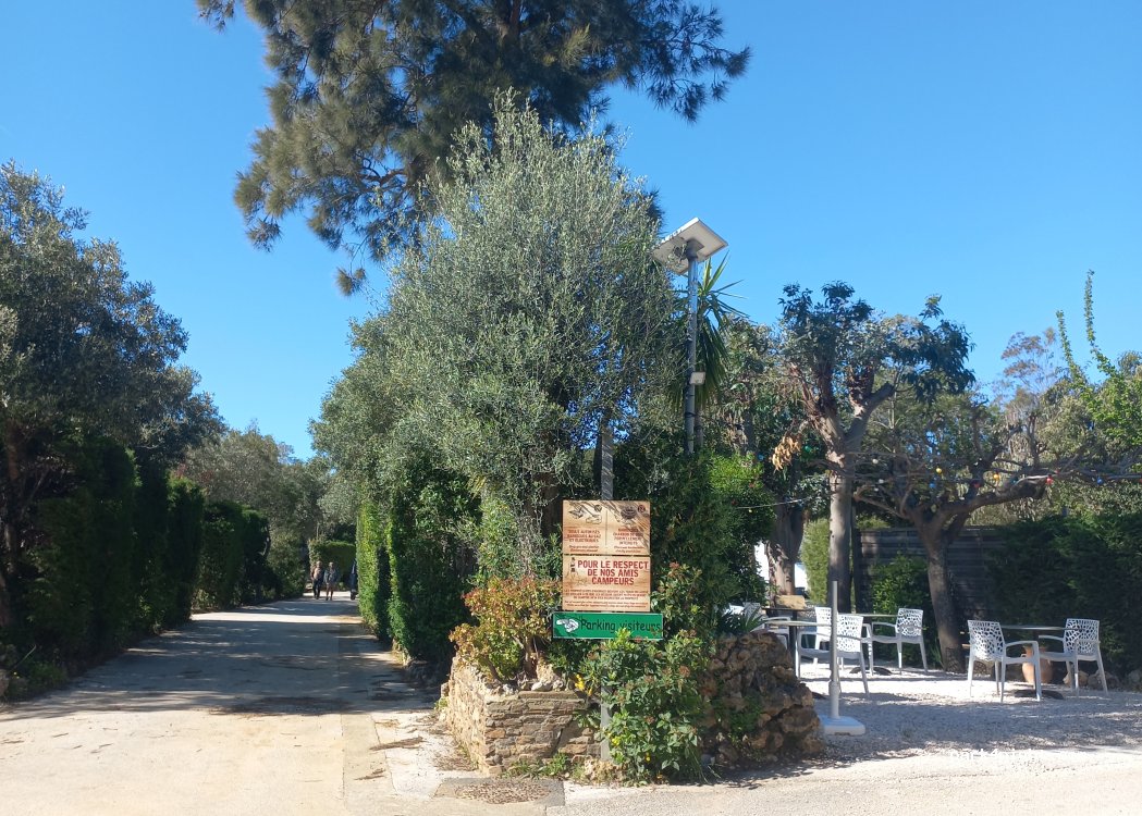 Camping La Pinède — foto 5