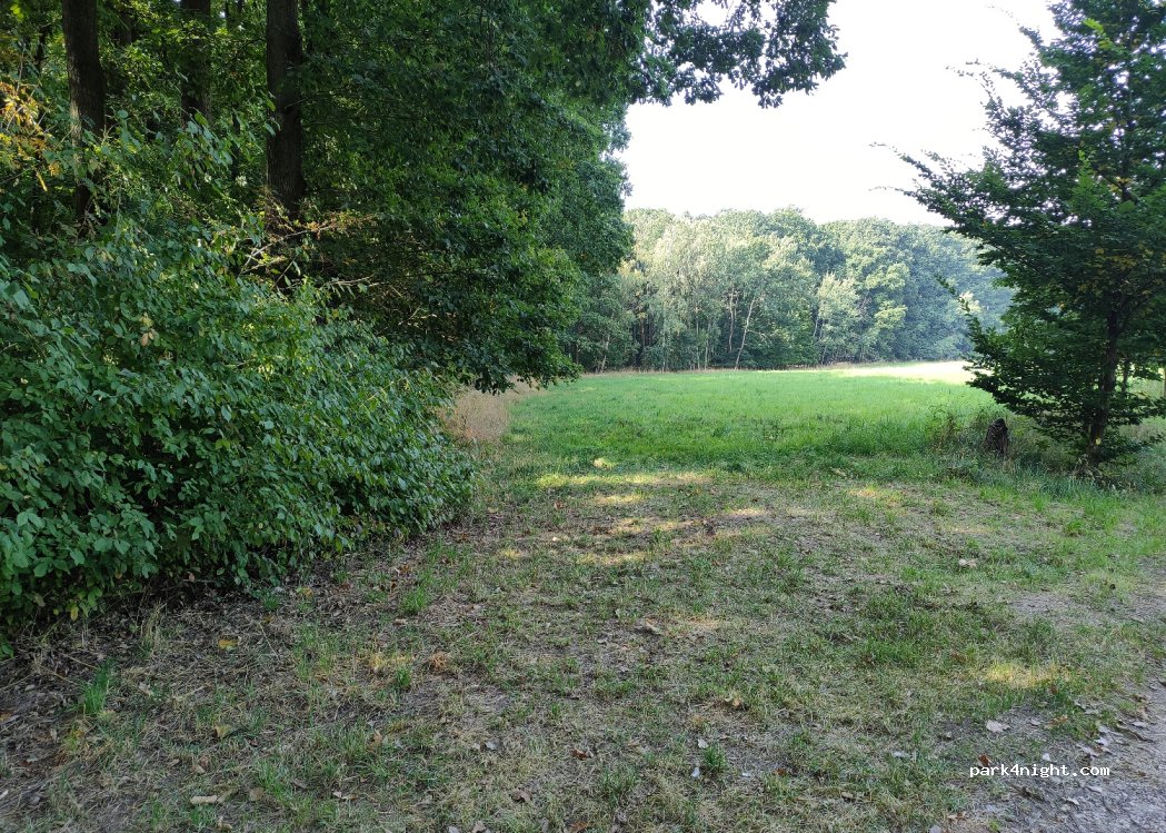 (507 73) Dobrá Voda u Hořic - Unnamed Road — foto