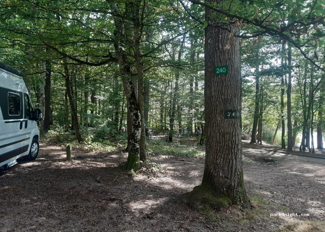 (03360) Saint-Bonnet-Tronçais - — foto 3