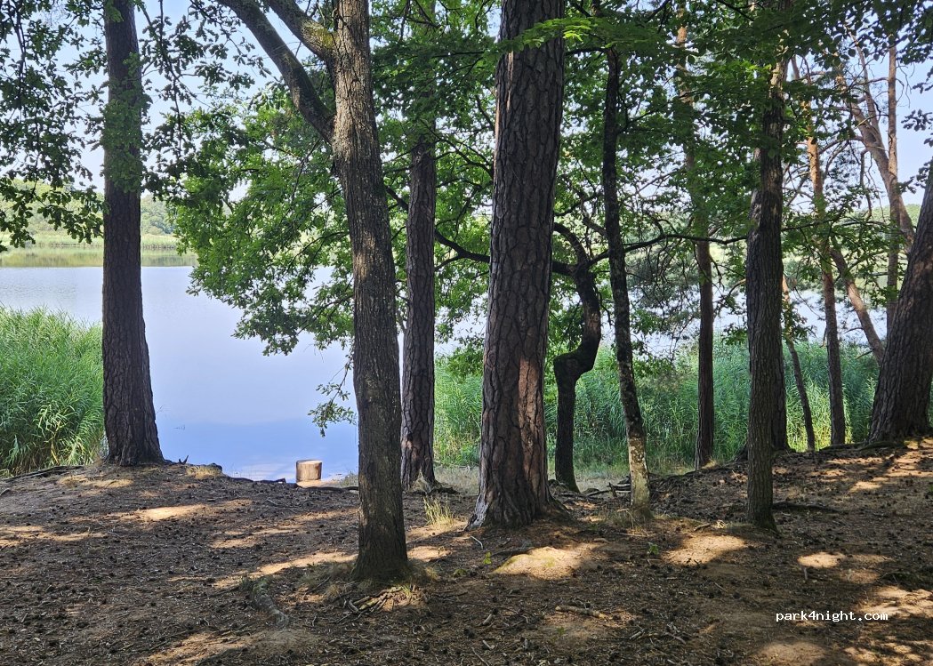 (03360) Saint-Bonnet-Tronçais - — foto 4