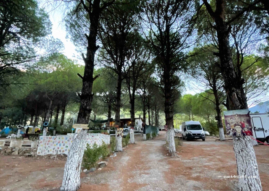Pine Garden Camping&Restaurant — foto