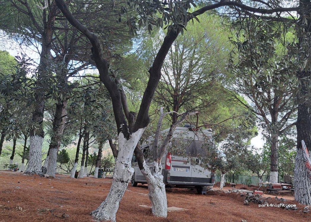 Pine Garden Camping&Restaurant — foto 4