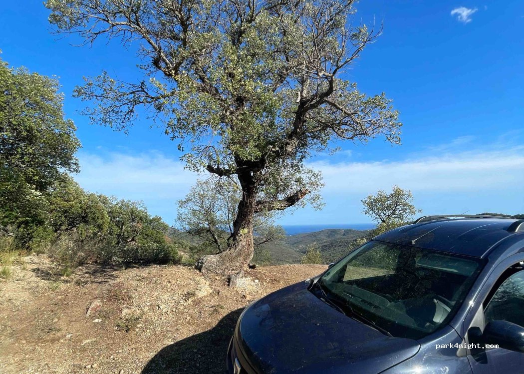 (83120) Sainte-Maxime - Chemin des Saquedes — foto 3