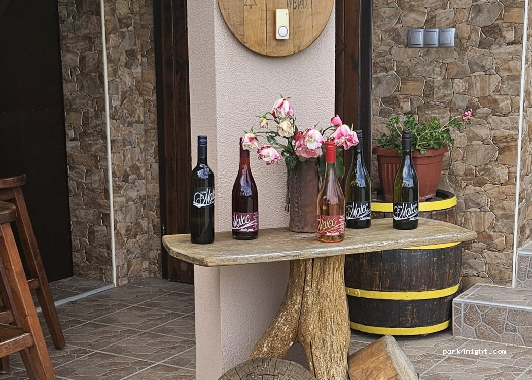 Vinogradnistvo Malec Dejan — foto 4