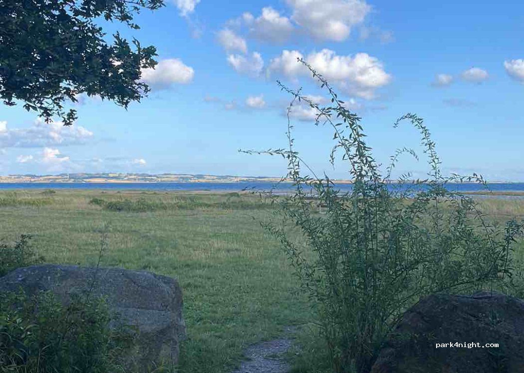 (8410) Rønde - 65 Strandvejen — foto 4