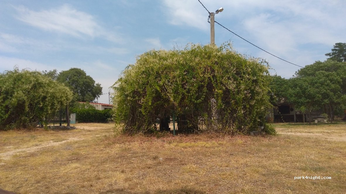 Camp Europa — foto
