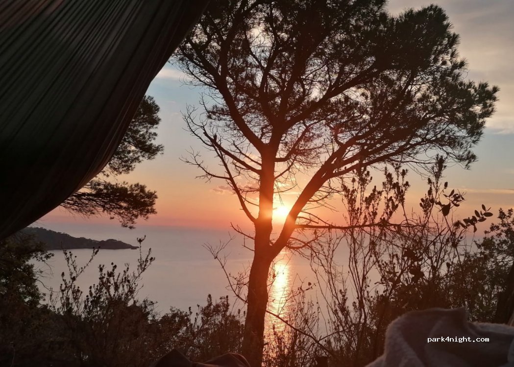 (17220) Sant Feliu de Guíxols - 35 GI-682 — foto