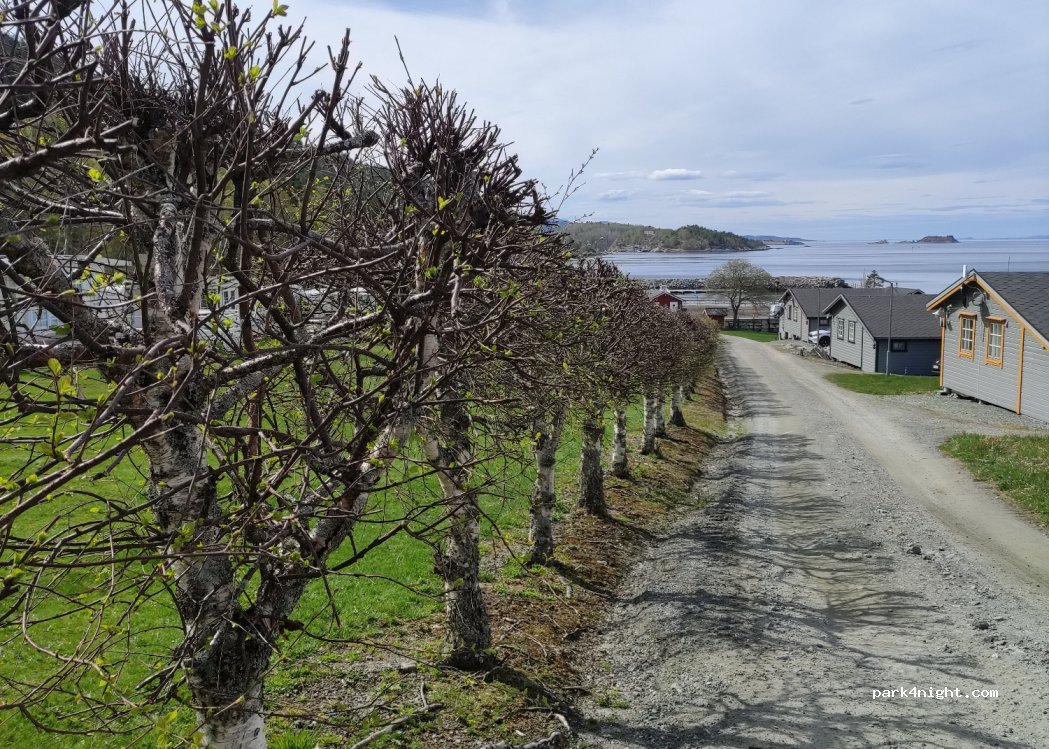 Bjørkvik camping — foto 4