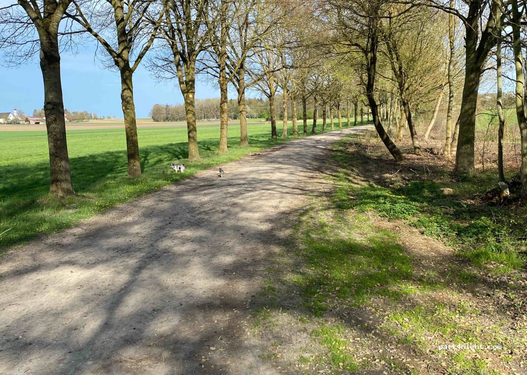 (85244) Röhrmoos - 1 Msgr.-Seidinger-Straße — foto 2
