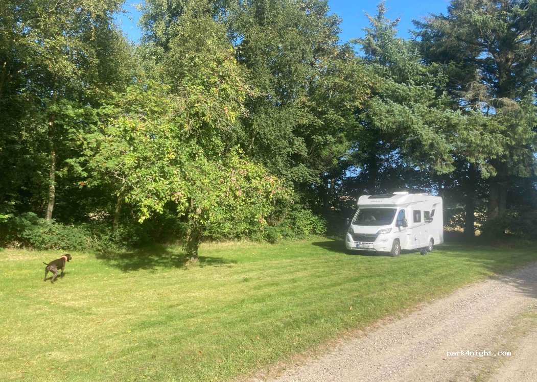 (9690) Fjerritslev - 19 Hedegårdsvej — foto 4