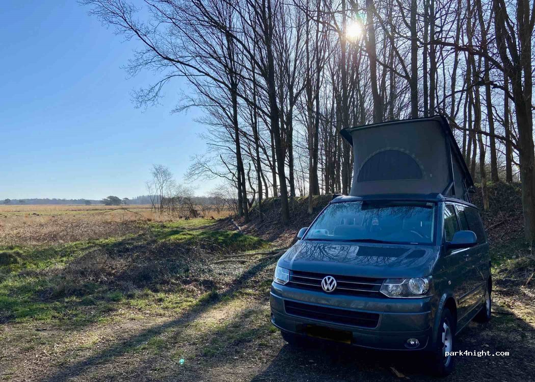 (8351) Wapserveen - Westerzandpad — foto 3
