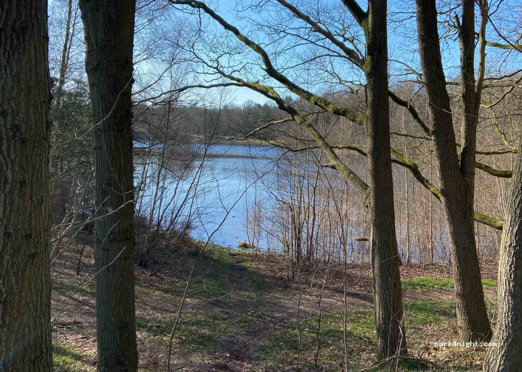 (8351) Wapserveen - Westerzandpad — foto 4