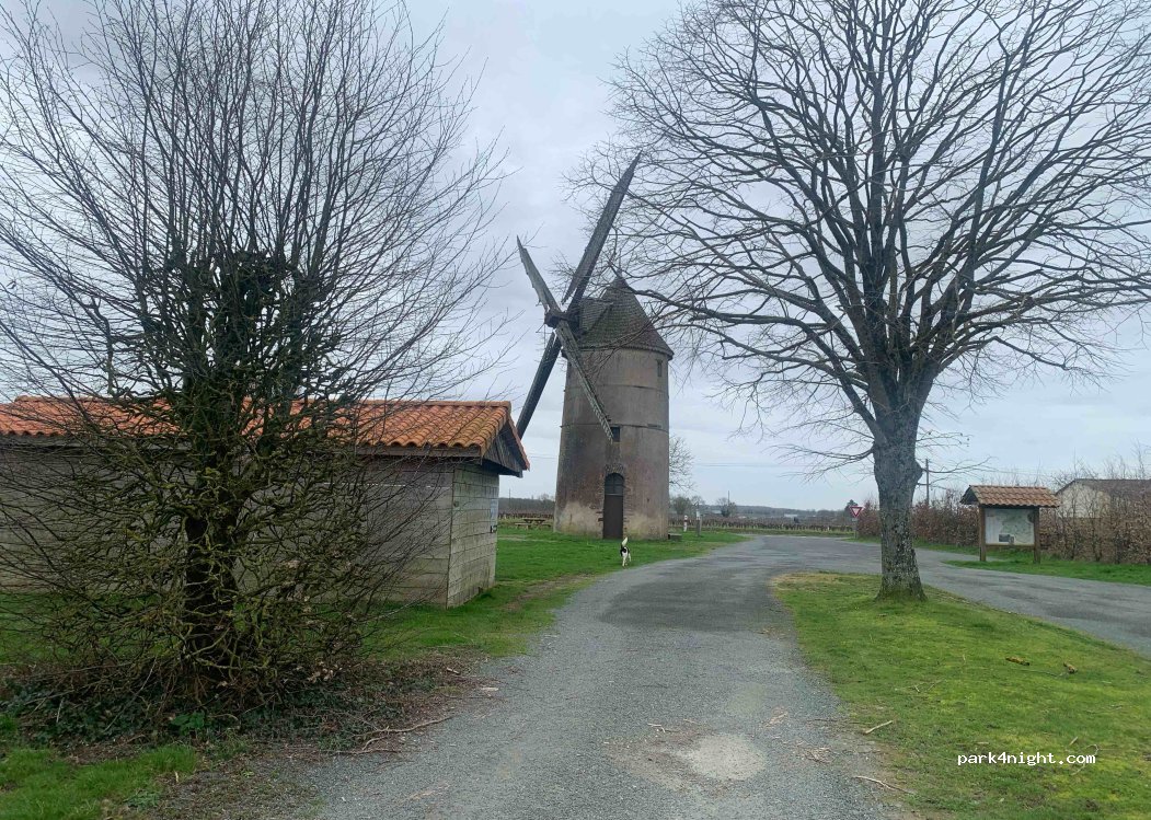 (49230) Sèvremoine - 7 D223 — foto 3