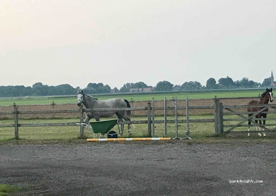 Camping Valkenhof — foto 4