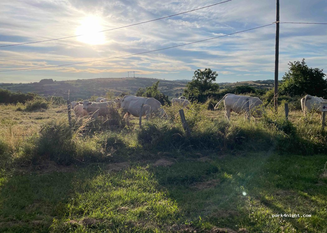 La châtaigne — foto 3
