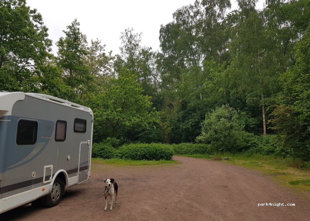 (62138) Billy-Berclau - Chemin du Marais Winglois — foto