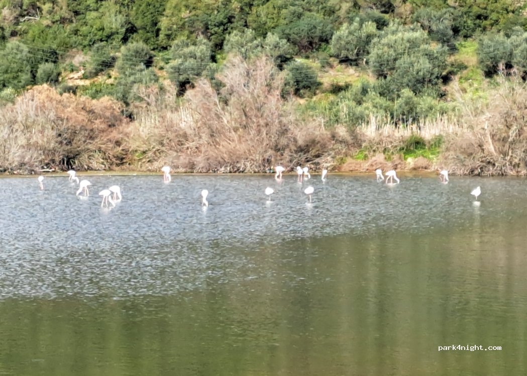 (470 40) Menidi - Unnamed Road — foto 5