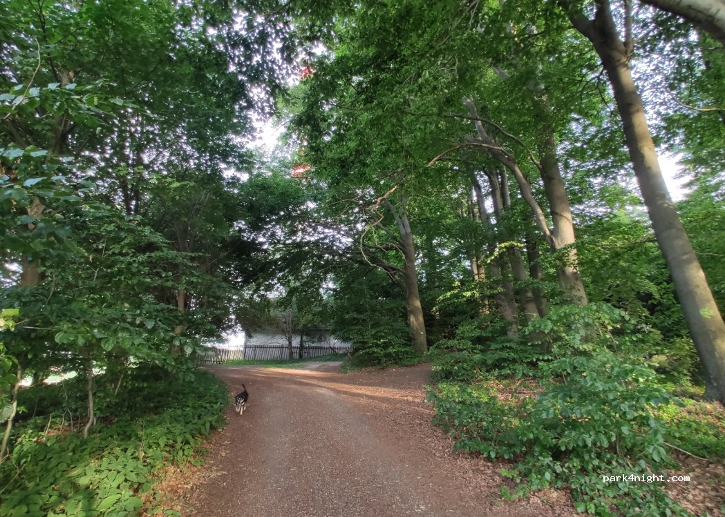 (592 14) Bohdalov - Unnamed Road — foto