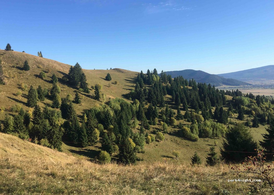 (537309) Valea Strâmbă - Unnamed Road — foto 2