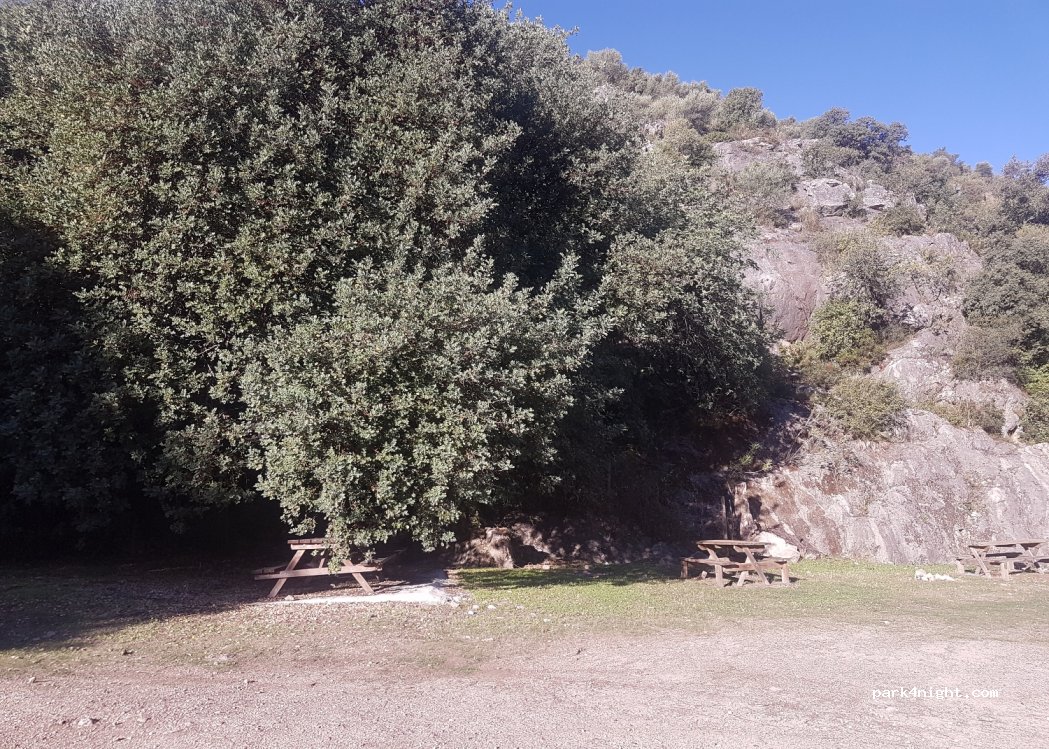 (11689) La Muela - — foto 3