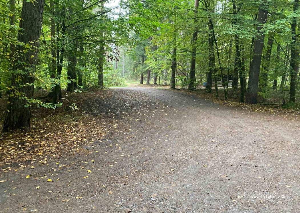 (92439) Bodenwöhr - Unnamed Road — foto