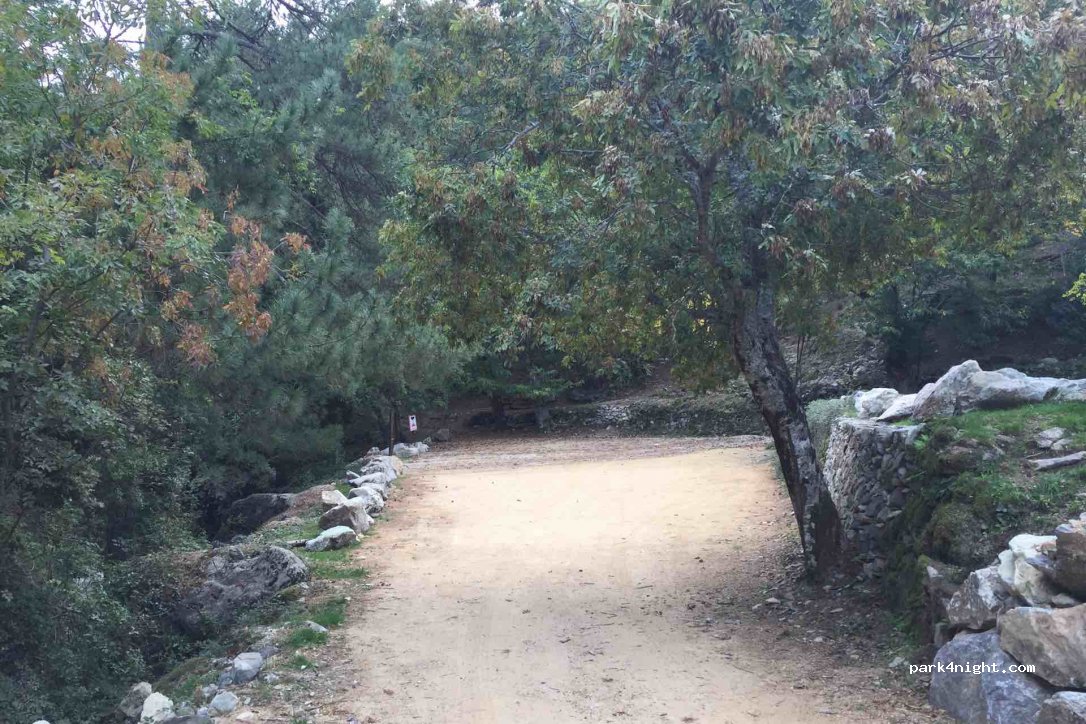 (20259) Mausoléo - Tartaggine — foto 2