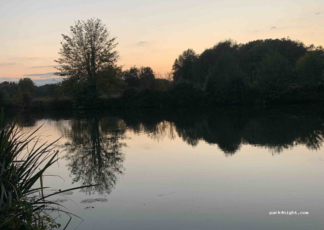 (16120) Bassac - Les Forêts — foto 2