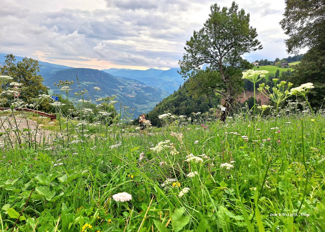(39100) Colle - 10 Via al Colle — foto 5