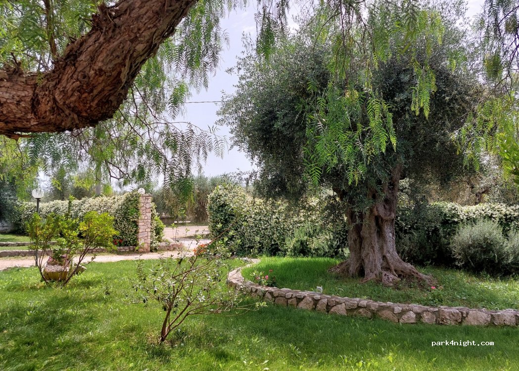 (71013) San Giovanni Rotondo - — foto 4