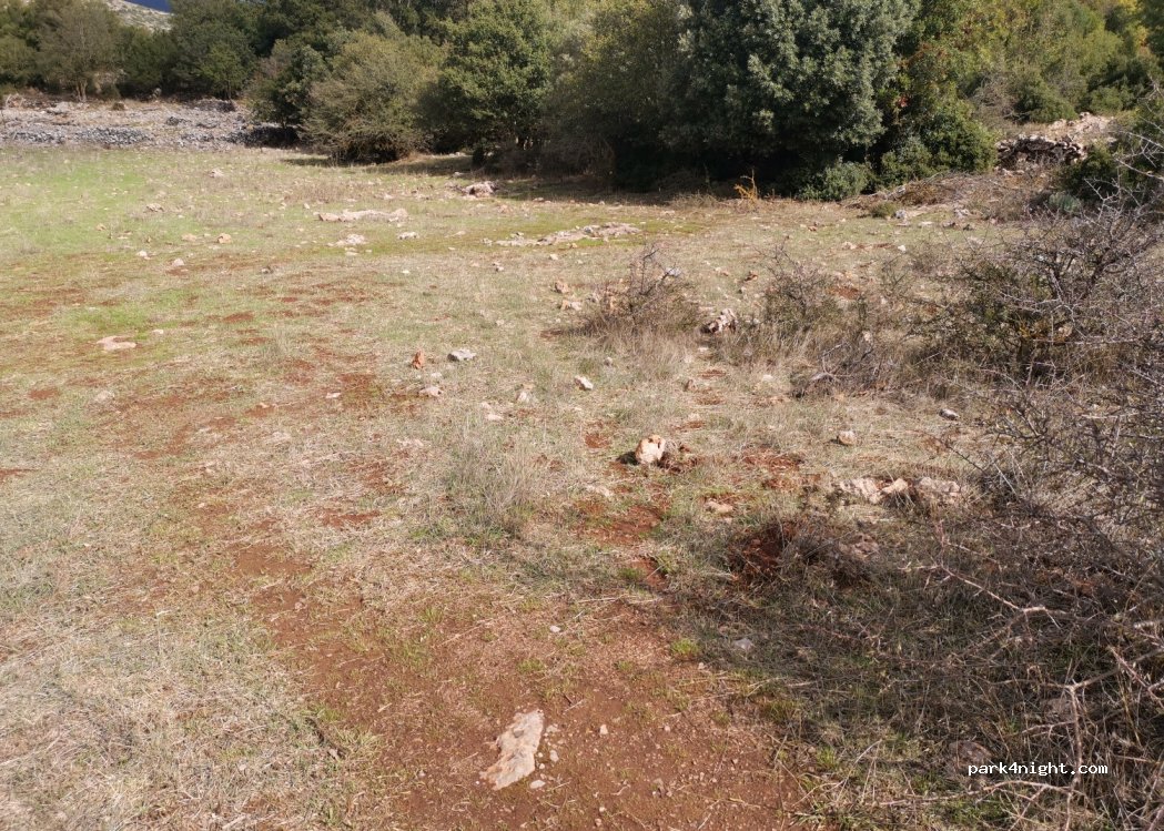 (420 32) Pili - Unnamed Road — foto