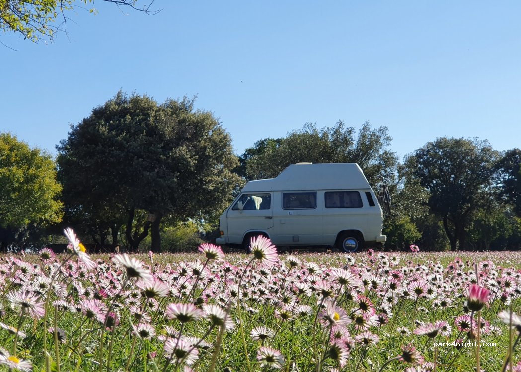 Camping Le Maquis — foto