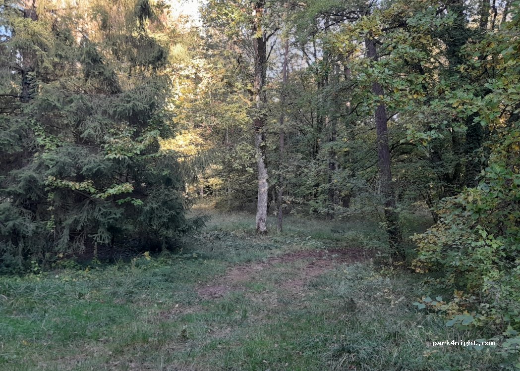(54470) Flirey - Unnamed Road — foto