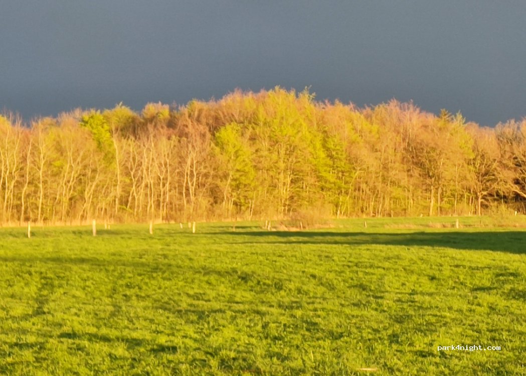 Ferienhof Eschen — foto 4