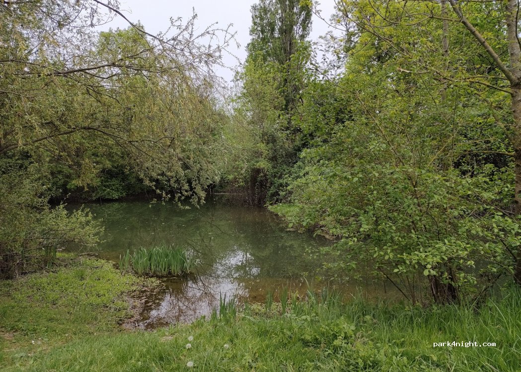 (37420) Rigny-Ussé - Unnamed Road — foto