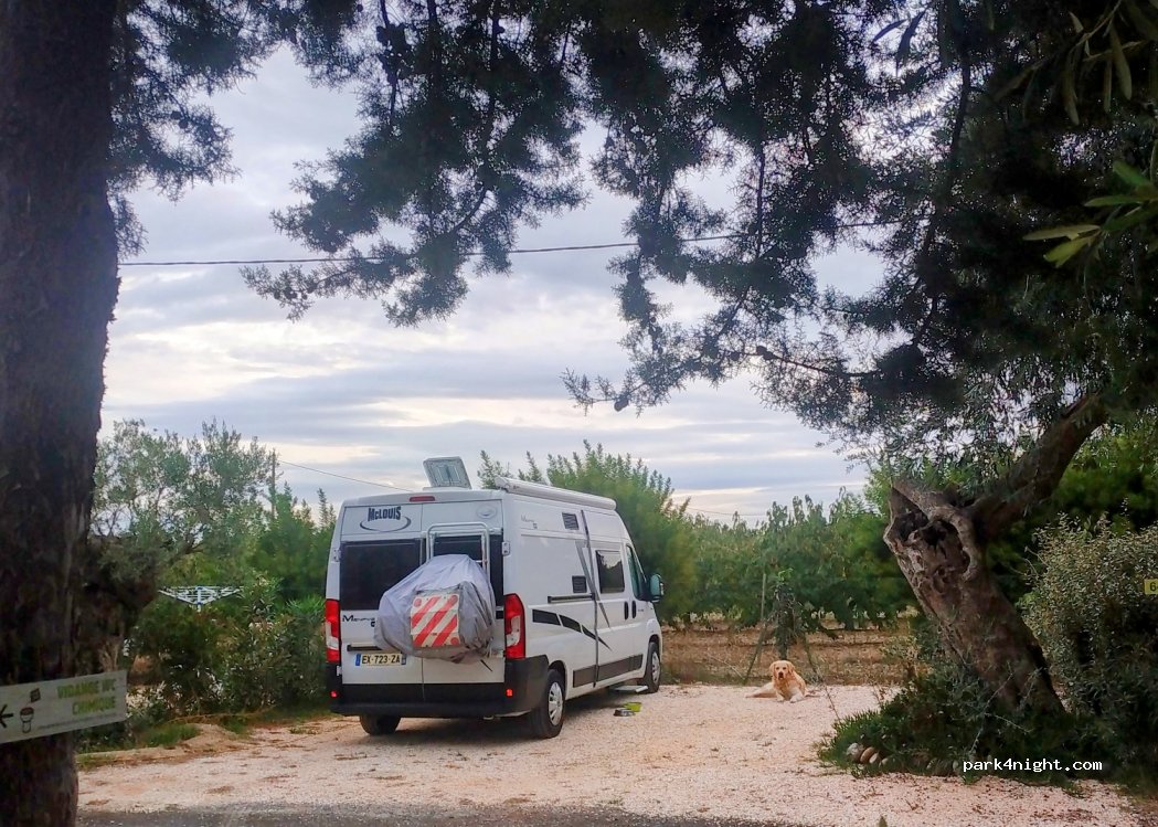 Camping les Oliviers — foto