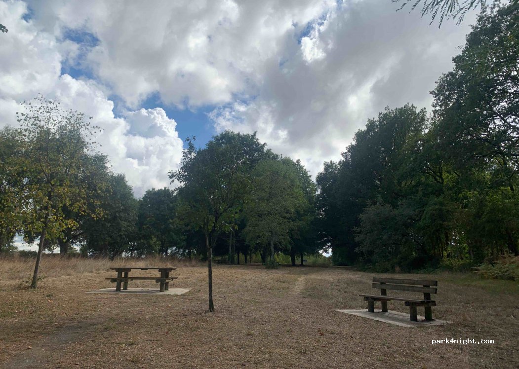 (49140) Loire-Authion - — foto