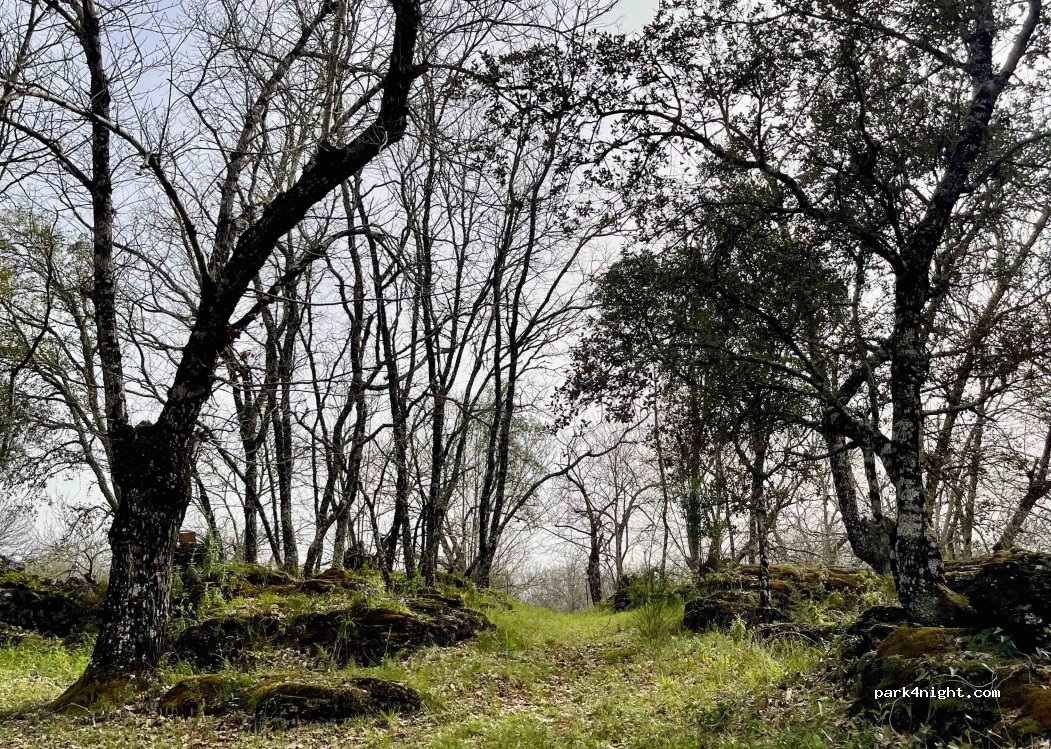 El Madroñal — foto 3