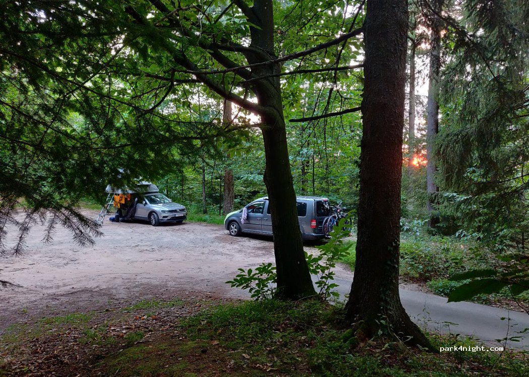 (77704) Oberkirch - Kalikutt — foto 3