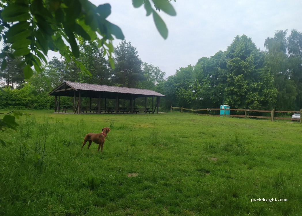 (63-100) Śrem - Liliowa — foto 3