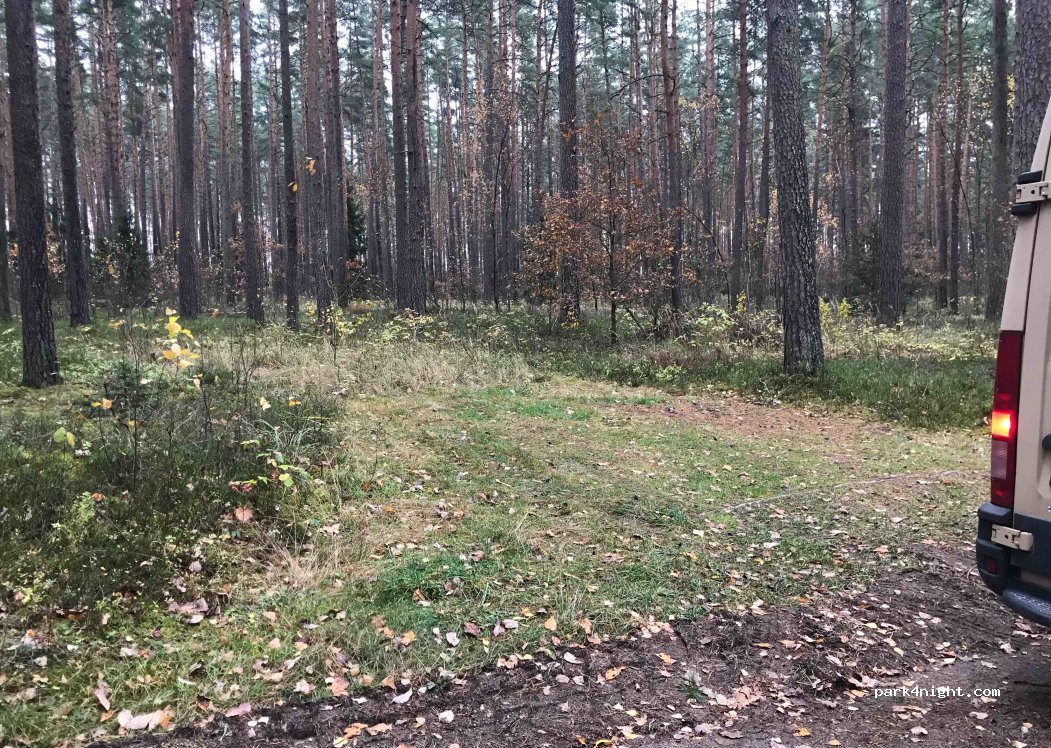 (21354) Ešerinė - — foto 2