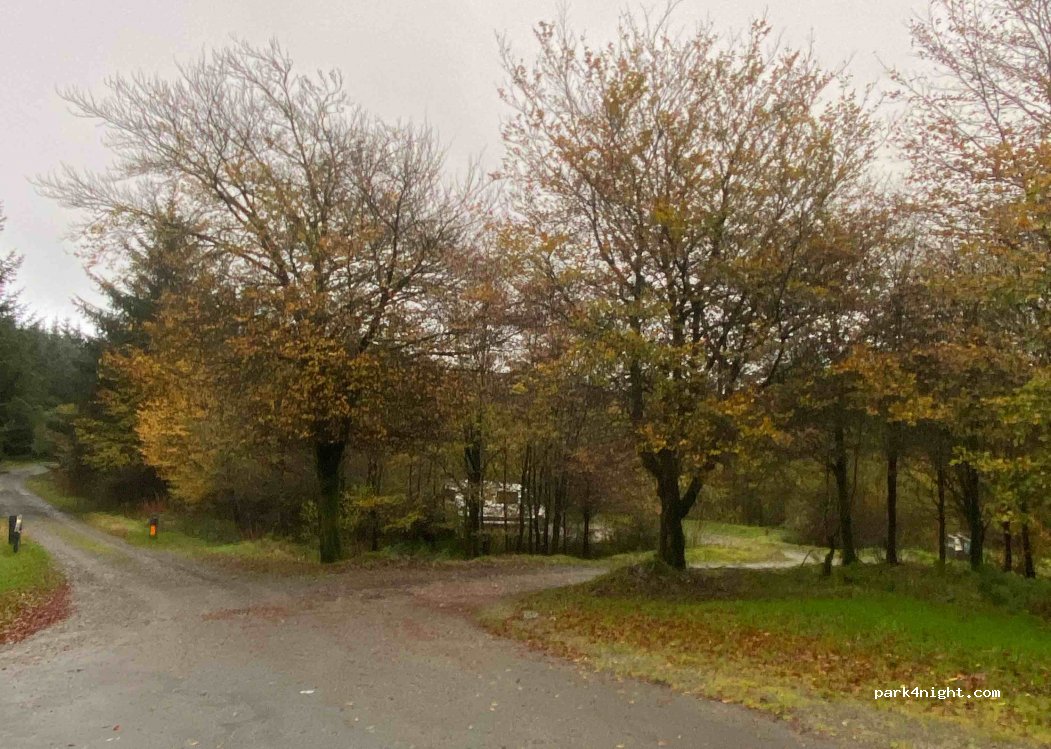 (SA19 7PU) Llandeilo - Unnamed Road — foto 2