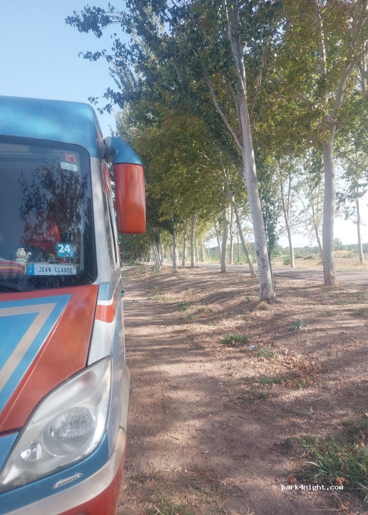 (50750) Pina de Ebro - — foto 4