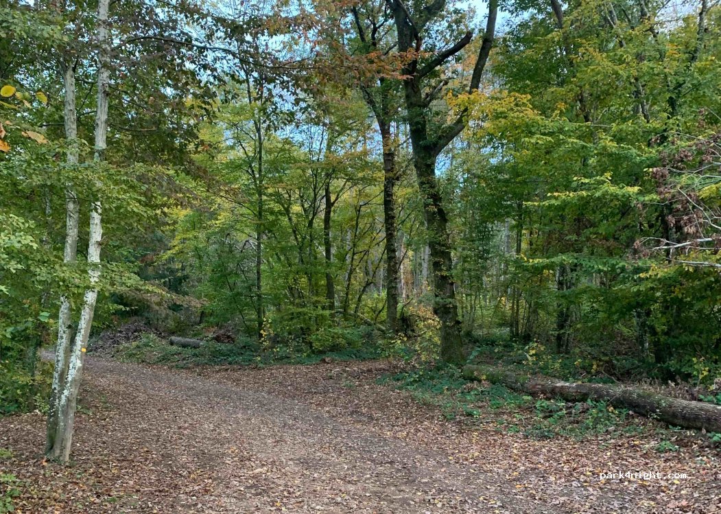 (71110) Anzy-le-Duc - Vers la Touche — foto