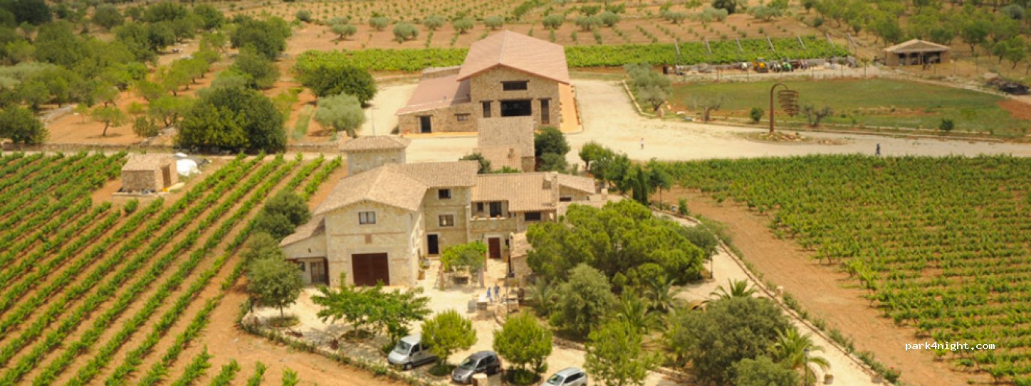 Bodega Barón d'Alba — foto 3