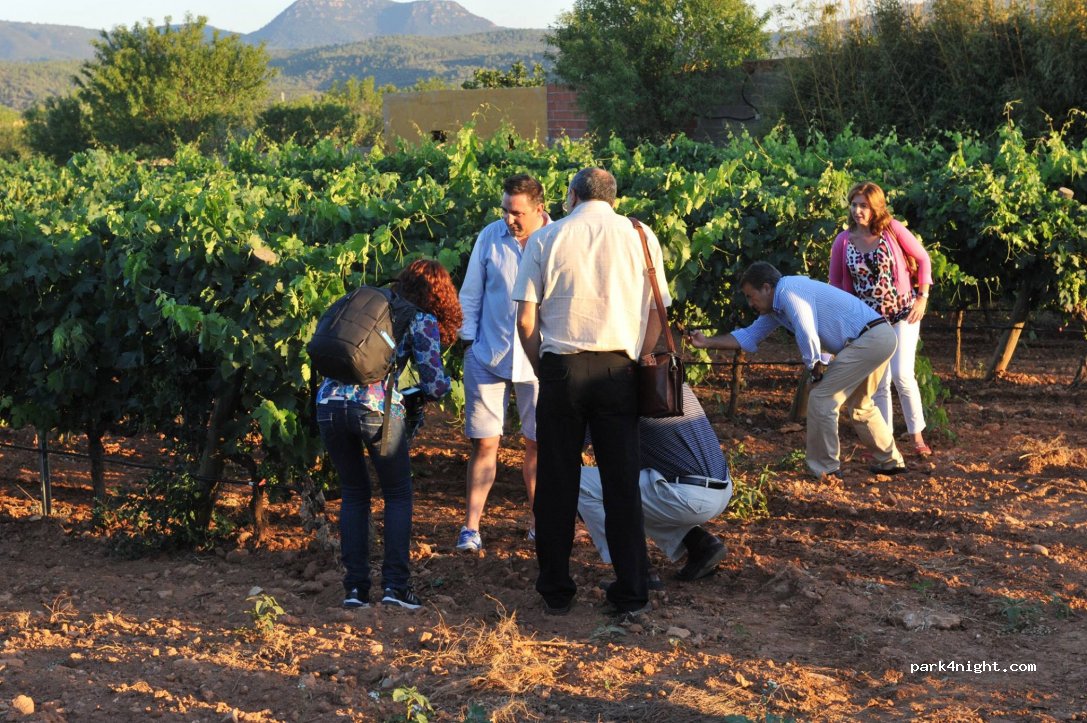Bodega Barón d'Alba — foto 5